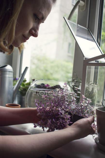 Plan recadré d'une femme soignant une plante en pot sur le rebord de la fenêtre — Photo de stock