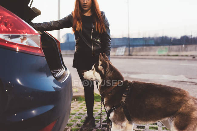 Mulher persuadindo cão em carro tronco — Fotografia de Stock