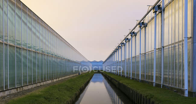Estufas ao entardecer, em Westland, área com maior concentração de estufas nos Países Baixos — Fotografia de Stock