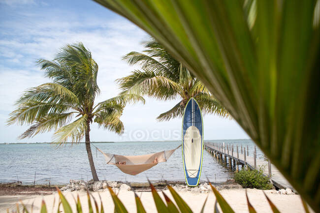 Person relaxing in hammock between two palm trees, surf board resting against palm tree — Stock Photo