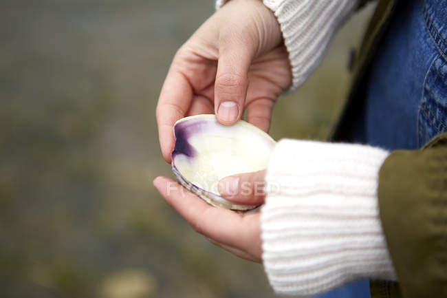 Close up of female hands holding seashell — Stock Photo