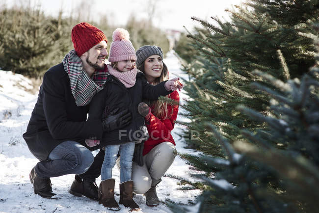 Mädchen und Eltern betrachten Wald-Weihnachtsbäume — Stockfoto