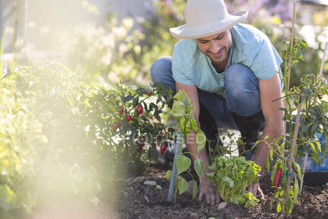 Jeune homme dans le jardin s'occupant de plantes — Photo de stock