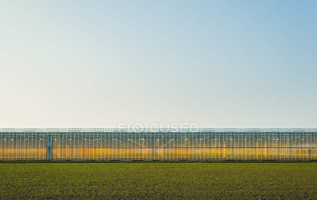 Invernadero en Westland, zona con mayor concentración de invernaderos en los Países Bajos - foto de stock