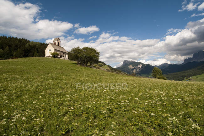 Iglesia de San Jacob en la colina de flores silvestres, Valle de Funes, Dolomitas, Italia - foto de stock