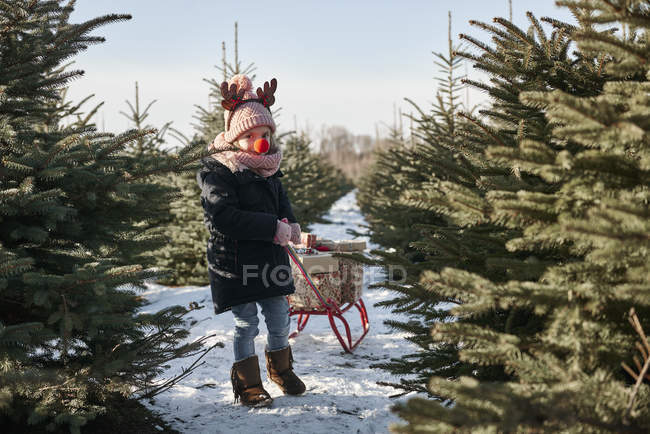 Девушка в лесу рождественской елки тянет подарки на санках, портрет — стоковое фото