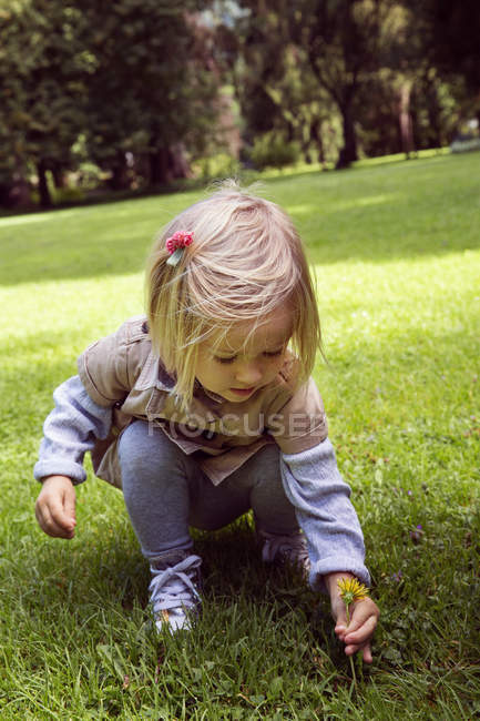 Female toddler crouching to pick dandelion in park — Stock Photo