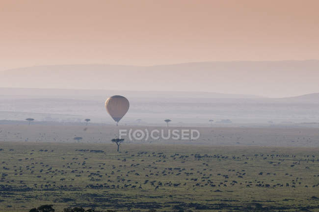 Safari in mongolfiera sulla migrazione Wildbeest, Masai Mara National Reserve, Kenya — Foto stock
