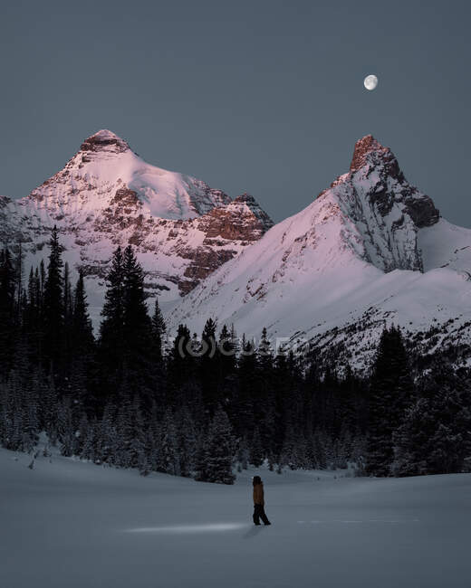 Alba con luna piena in inverno, Jasper National Park, Alberta, Canada — Foto stock