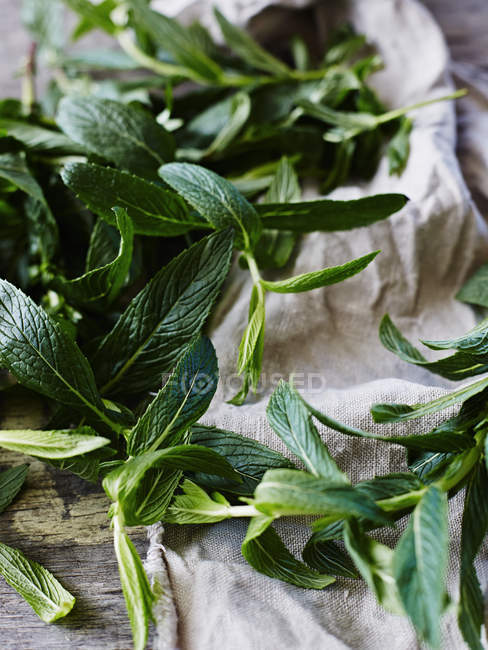 Close up of Picked mint leaves on tabletop — Stock Photo