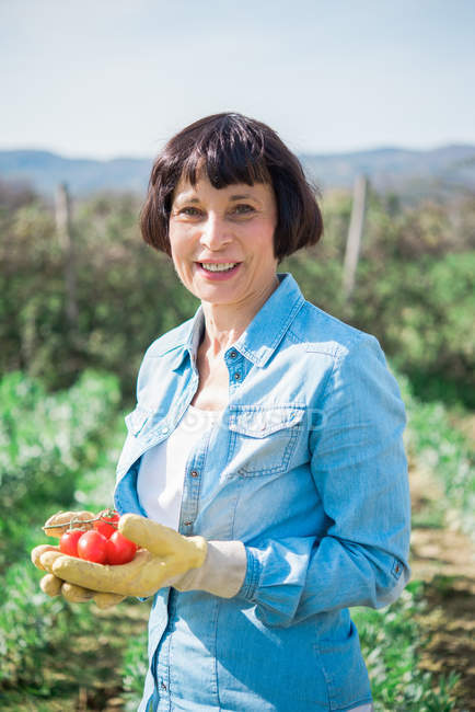 Woman holding tomatoes in vegetable garden — Stock Photo