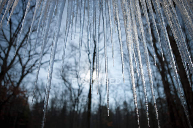 Visão de baixo ângulo de Icicles no tempo de inverno — Fotografia de Stock