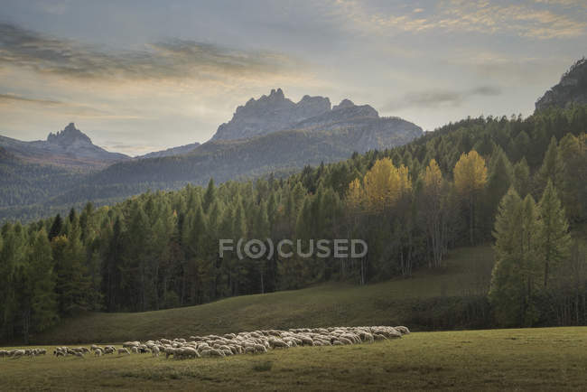 Coucher de soleil sur les Dolomites, Cortina d'Ampezzo, Veneto, Italie — Photo de stock