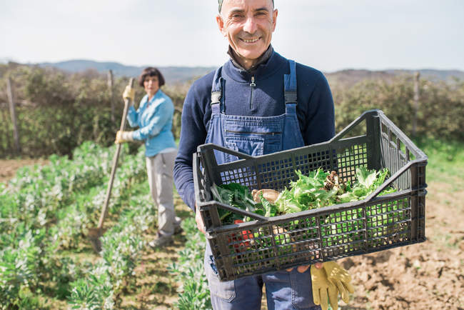 Uomo con cassa di verdure in giardino e donna che lavorano sullo sfondo — Foto stock