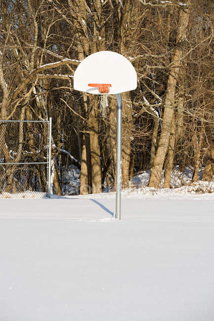 Баскетбольный обруч в снегу, Нью-Йорк, Соединенные Штаты Америки — стоковое фото