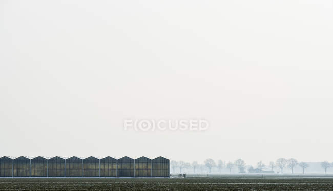 Gewächshaus, Dorst, Noord-Brabant, Niederlande — Stockfoto
