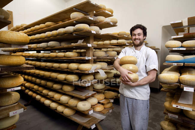 Портрет производителя сыра с твердыми сырами для осмотра, в помещении для старения, где хранятся твердые сыры — стоковое фото