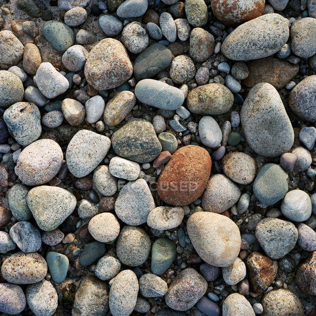 Draufsicht auf grauen Kieselsteinen Hintergrund, Vollbild — Stockfoto