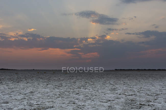 Sal al atardecer, Nxai Pan, Botswana, África - foto de stock