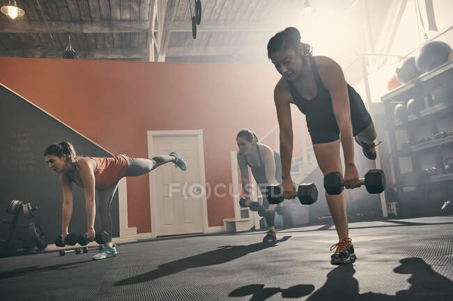 Group of women in gym exercising using dumbbells — Stock Photo