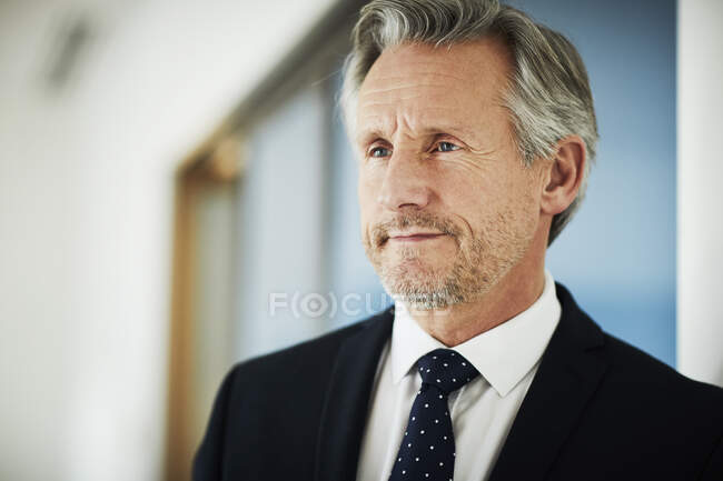 Portrait of senior businessman — Stock Photo