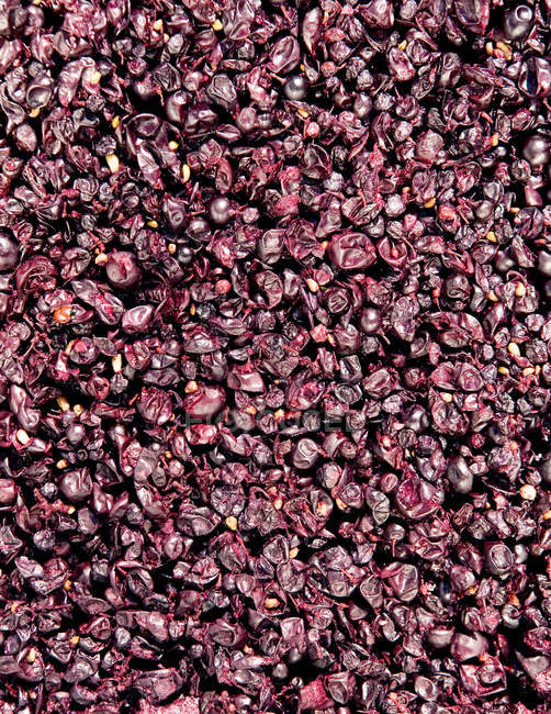 Vista de pinot noir uvas, marco completo - foto de stock