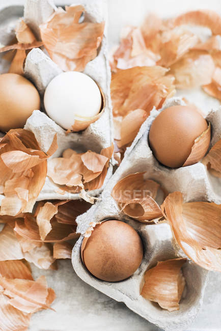 Vista en ángulo alto de los huevos en bandejas con cáscara de cebolla - foto de stock