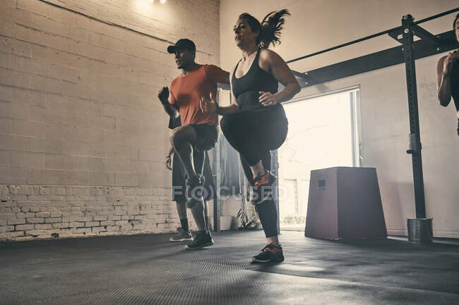People exercising in gym, jogging — Stock Photo