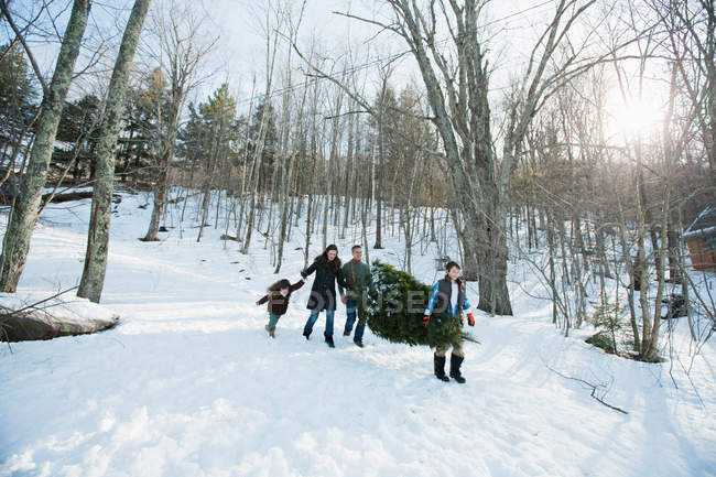 Familia caminando con pino recortado en la nieve - foto de stock