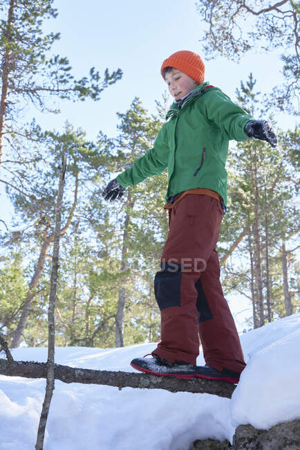 Young boy walking across tree branch in snow covered, rural landscape, low angle view — Stock Photo