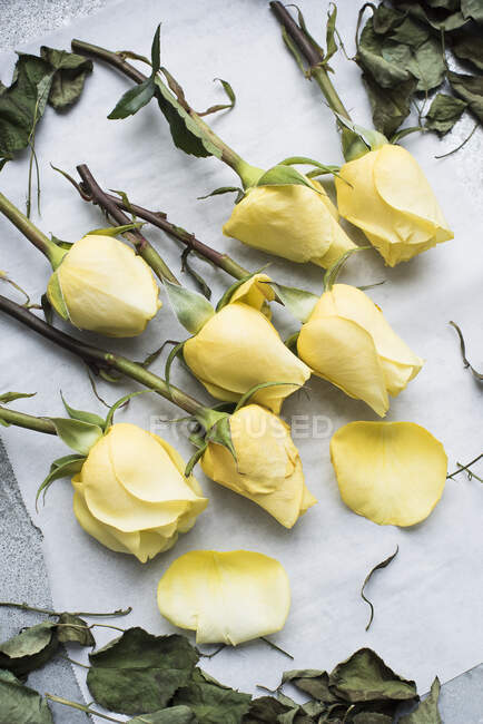Rosenstiele auf dem Tisch — Stockfoto