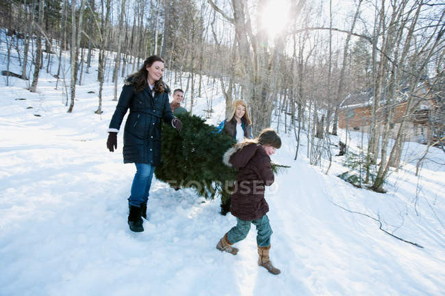 Famiglia che trasporta pino sulla neve insieme — Foto stock