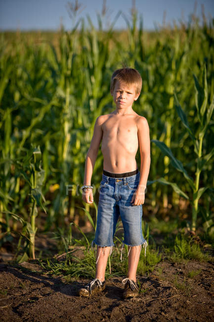 Портрет мальчика, стоящего на кукурузном поле — стоковое фото