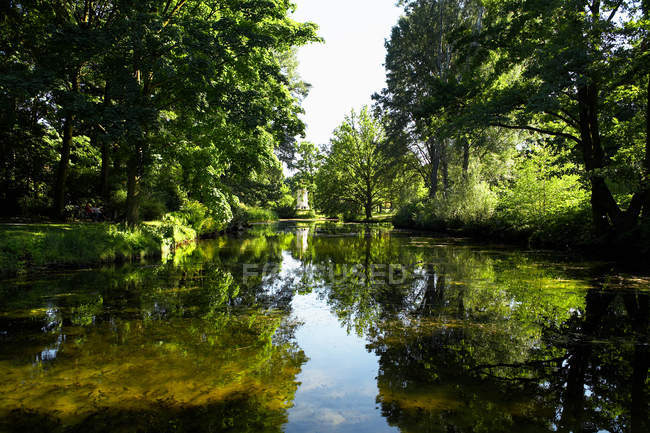 Bela paisagem com árvores verdes refletida no lago calmo — Fotografia de Stock