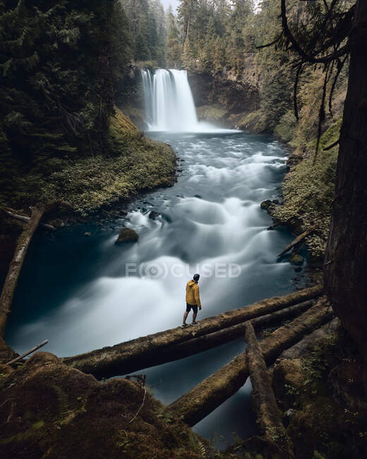Uomo che attraversa il fiume, Koosah Falls, Willamette, Oregon, Stati Uniti — Foto stock