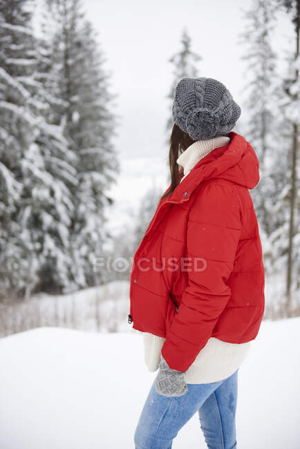 Женщина смотрит на вид зимой — стоковое фото