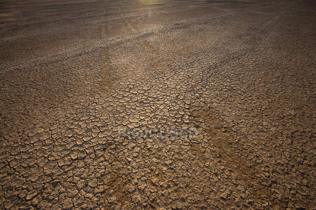 Тріщини землі текстура в Північній Капській провінції, Південна Африка — стокове фото