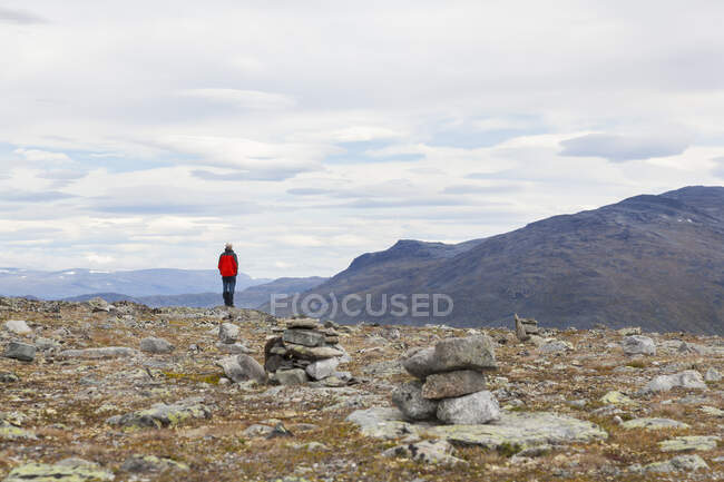 Senderista masculino con vista al paisaje de montaña, vista trasera, Parque Nacional Jotunheimen, Lom, Oppland, Noruega - foto de stock