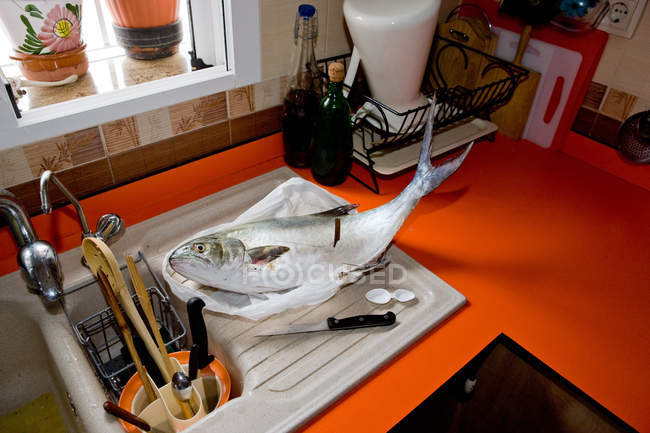 Peixe fresco na placa de drenagem na cozinha — Fotografia de Stock