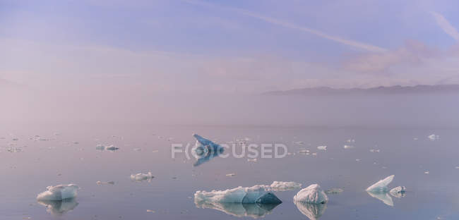 Pequenos icebergs no mar, Narsaq, Vestgronland, Groenlândia — Fotografia de Stock