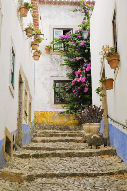 Escaliers et maisons traditionnelles avec des plantes et des fleurs à Obidos, Portugal — Photo de stock
