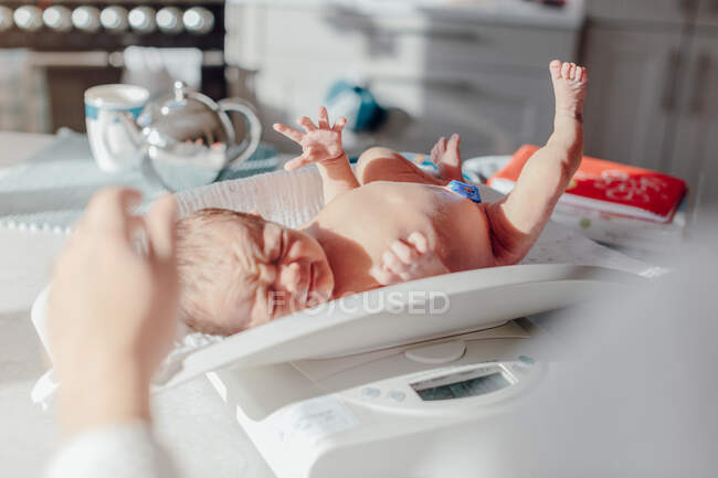 Newborn baby girl being weighed — Stock Photo