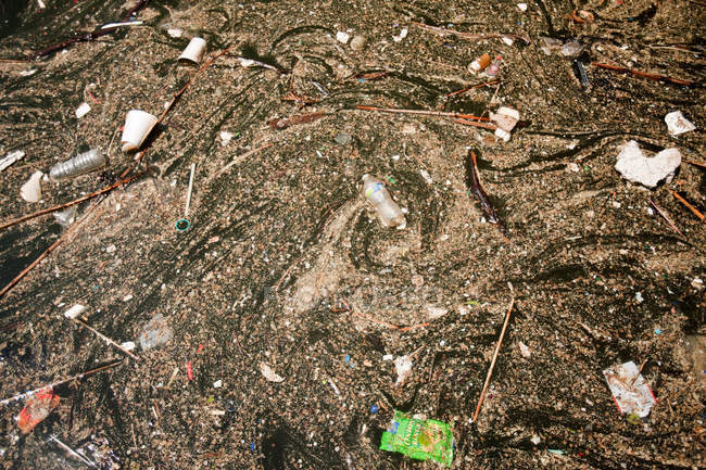 Vue de différentes ordures et bâtons dans l'eau sale — Photo de stock