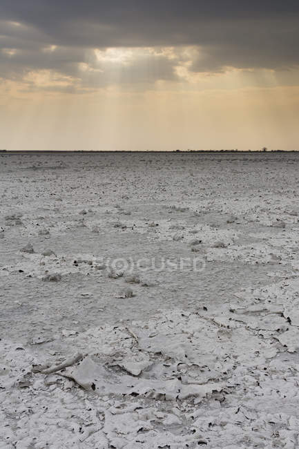 Sturm nähert sich Salzpfanne, Nxai-Pfanne, Botswana, Afrika — Stockfoto