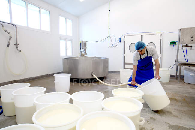 Fromagerie remplissant de grands récipients de lait sur le point d'être séparés en caillé et lactosérum — Photo de stock