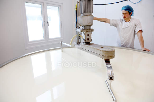 Cheese maker slicing and churning curds in vat — Stock Photo