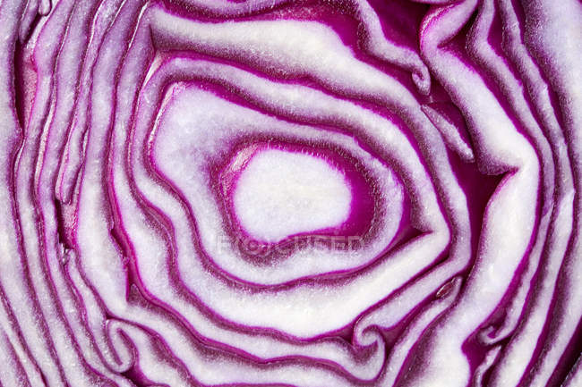 Close up of sliced red cabbage, full frame — Stock Photo