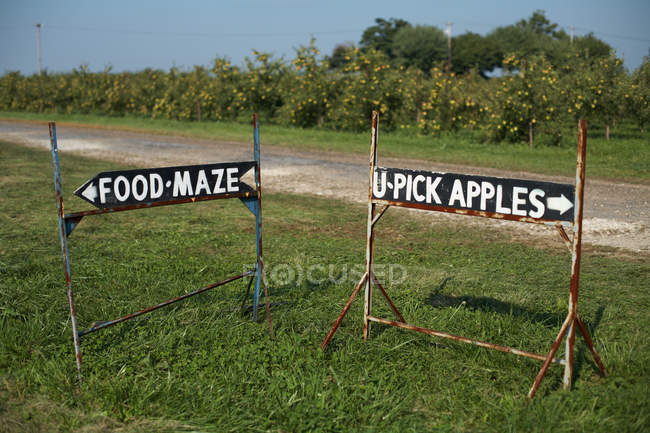 View of signs on green grass, usa — Stock Photo