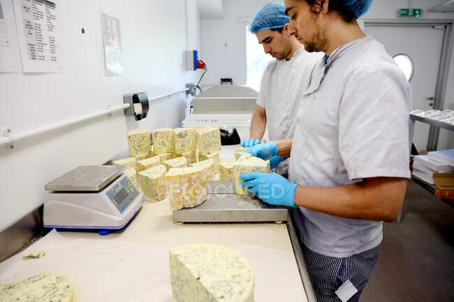 Fabricantes de queso cortando bloques de stilton azul para empaquetar y enviar a los mayoristas - foto de stock
