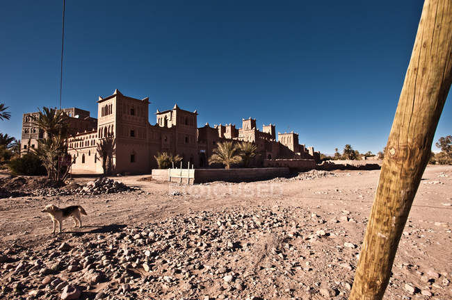 Kasbah restaurée, vallée de Deda, Maroc, Afrique du Nord — Photo de stock